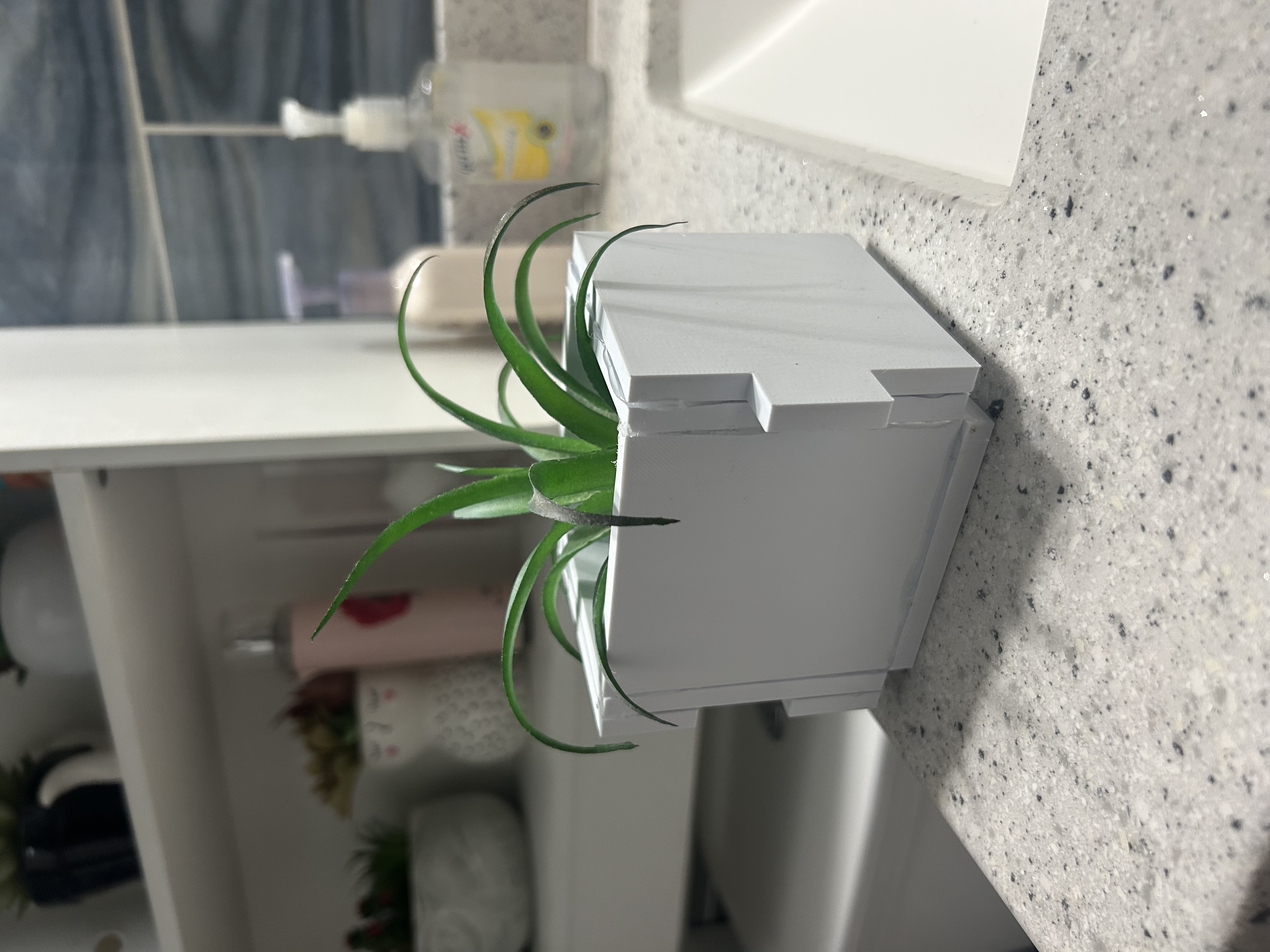 Yellow puzzle pot with its plant